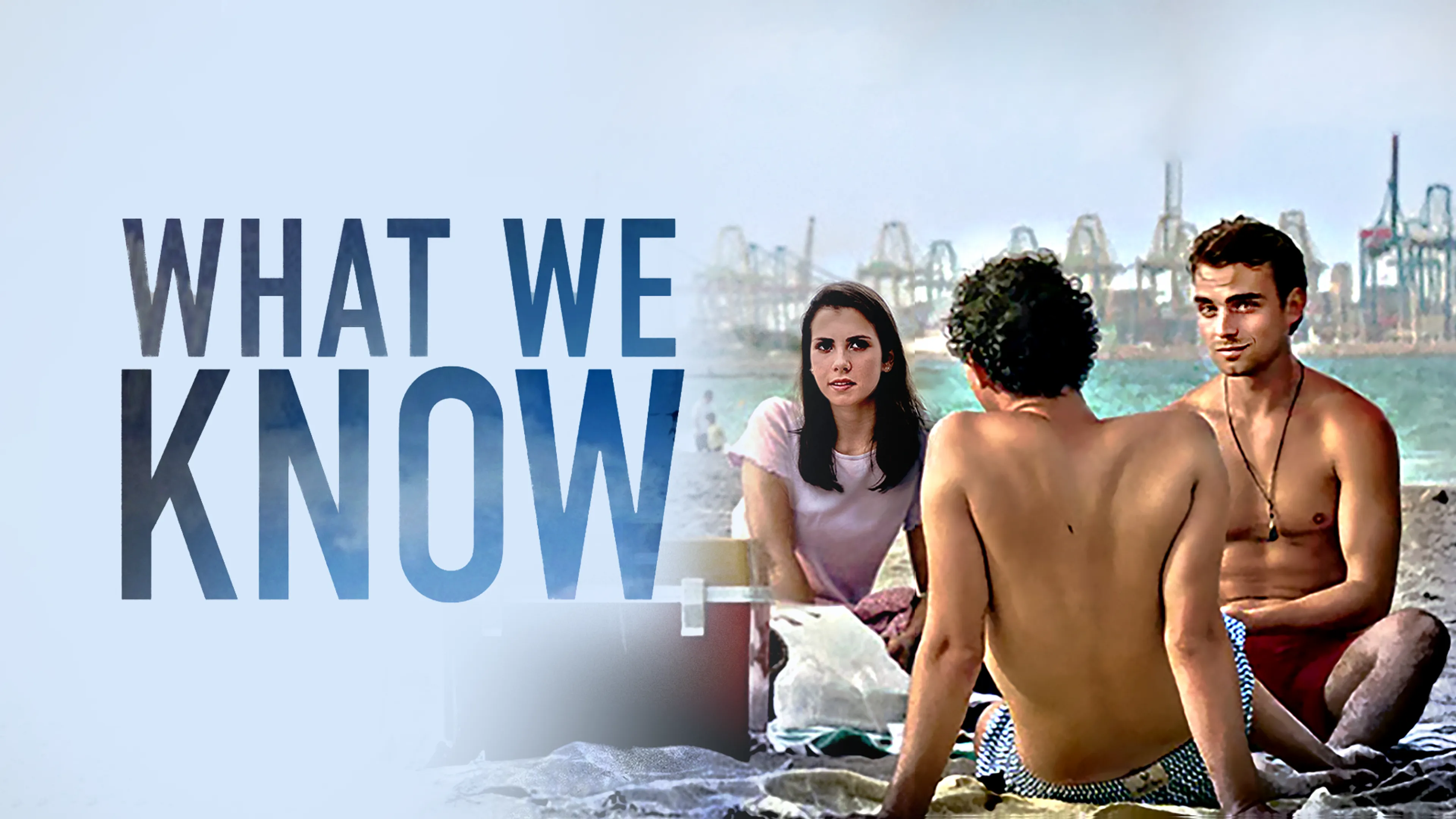 What We Know poster